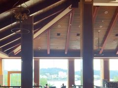 -老淳安—伴山伴湖(千岛湖开元度假村店)