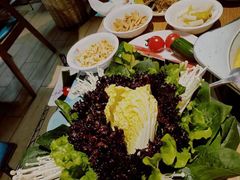 -青瓷火锅料理(西单大悦城店)
