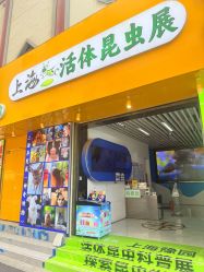 点击看大图 -神奇动物撸宠馆·羊驼·小浣熊·异宠(豫园店)
