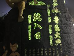 -禅宗少林·音乐大典