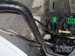 -聚味罗记大排檔·烧烤·鲜鱼杂·甲鱼煲(科学馆店)