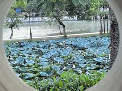-惠州西湖风景名胜区-丰渚园