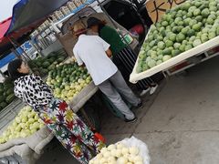 -南戴河海滨市场