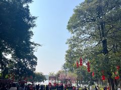 -海珠湖公园