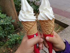 魔天脆脆冰淇淋-蜜雪冰城(新华路店)