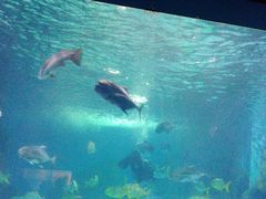 -常州海昌海洋探索馆