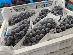 -西郊国际农产品交易中心