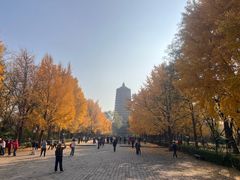 -玲珑塔公园