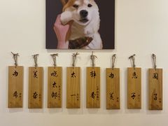 -柴犬小屋·柴餐厅·狗咖食堂(金鼎广场店)