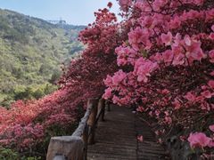 -木兰云雾山
