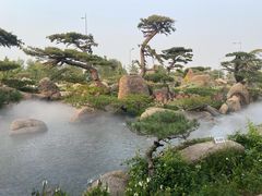 -罗红摄影艺术馆