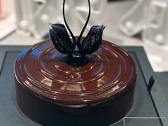 -BLACKSWAN黑天鹅(环球店)