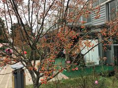 -南通洲际绿博园