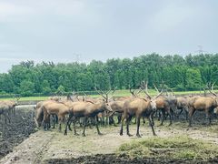 -溱湖国家湿地公园