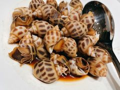 芥末花螺-皖宴(合肥店)