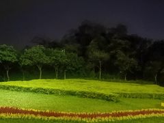 -广州逸林假日酒店·四季桃源中餐厅(白云山风景区店)