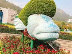 -麦当劳(海洋公园店)