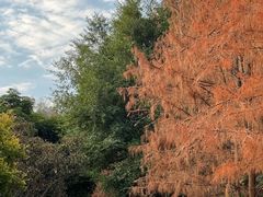 -福道