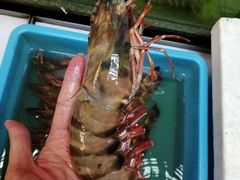 -ZF Seafood Restaurant 卓峰海鲜餐