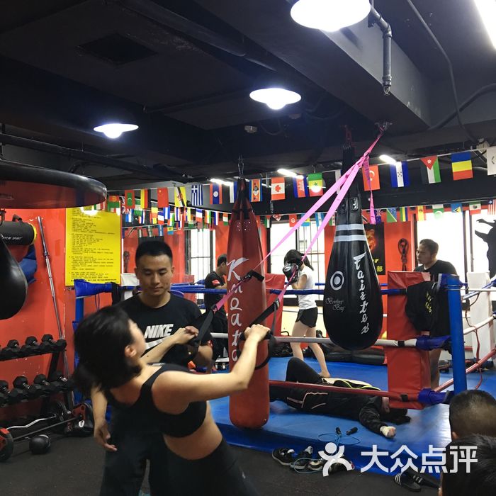 tiger 拳击泰拳散打搏击mma职业拳馆