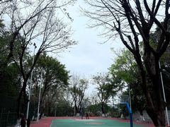 -中山公园(石岐街道)
