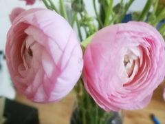 -好利来(四季青店)