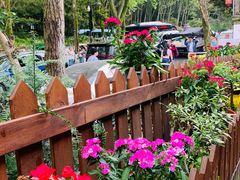 -国生茶庄·地道农家菜团建活动