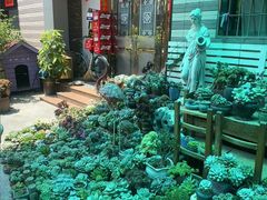-杨厝六十六农庄农舍(杨厝路店)