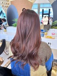 点击看大图 -GANO HAIR
