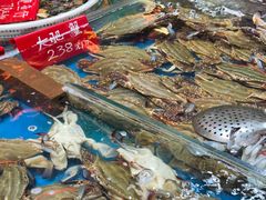 -旺角小渔村·海肠捞饭开创者(环山路店)