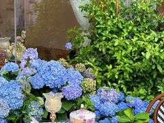 -Lamant Manor已闻花名关於蓝
