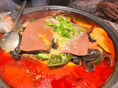 -探鱼·鲜青椒爽麻烤鱼(广州花都来又来店)