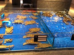 -上和臻品中国菜(花园街店)