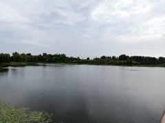 -东郊湿地公园