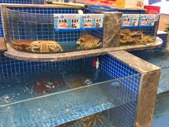 -骏莱海鲜鱼港(五角场店)