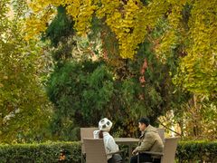 -遵化市禅林寺古银杏风景园
