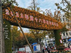 -汇龙潭