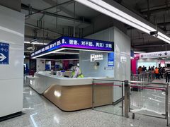 -东方体育中心(地铁站)