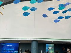 -瑞普利水族馆