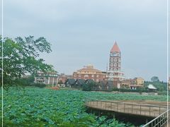 -日照海滨国家森林公园
