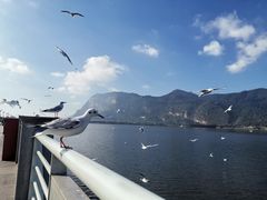 -海埂大坝
