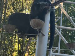 -清迈夜间动物园