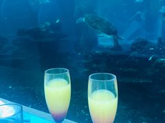 -海棠湾洲际-涛·海底餐厅·美人鱼·自助餐·海底隧道