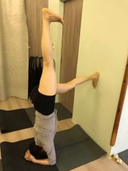 -Yvon yoga 瑜伽·精准体态管理中心