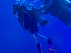 -烟台海昌鲸鲨海洋公园