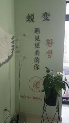 -至臻康妍健康管理中心