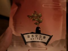 -端艾堂·SPA·艾灸(棕榈泉013店)