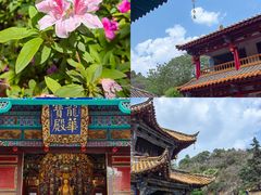 -圆通禅寺