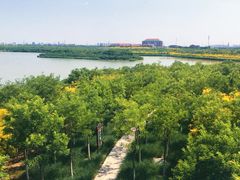 -天津东丽湖风景区