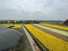 -中国天府农业博览园